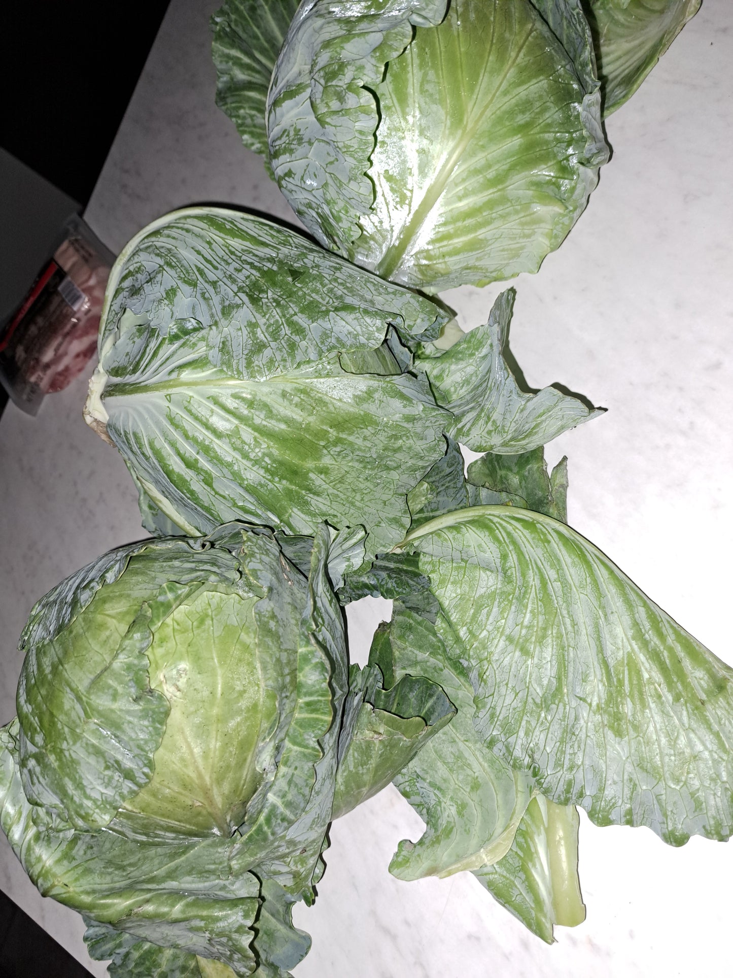 Cabbage ( Long pan)