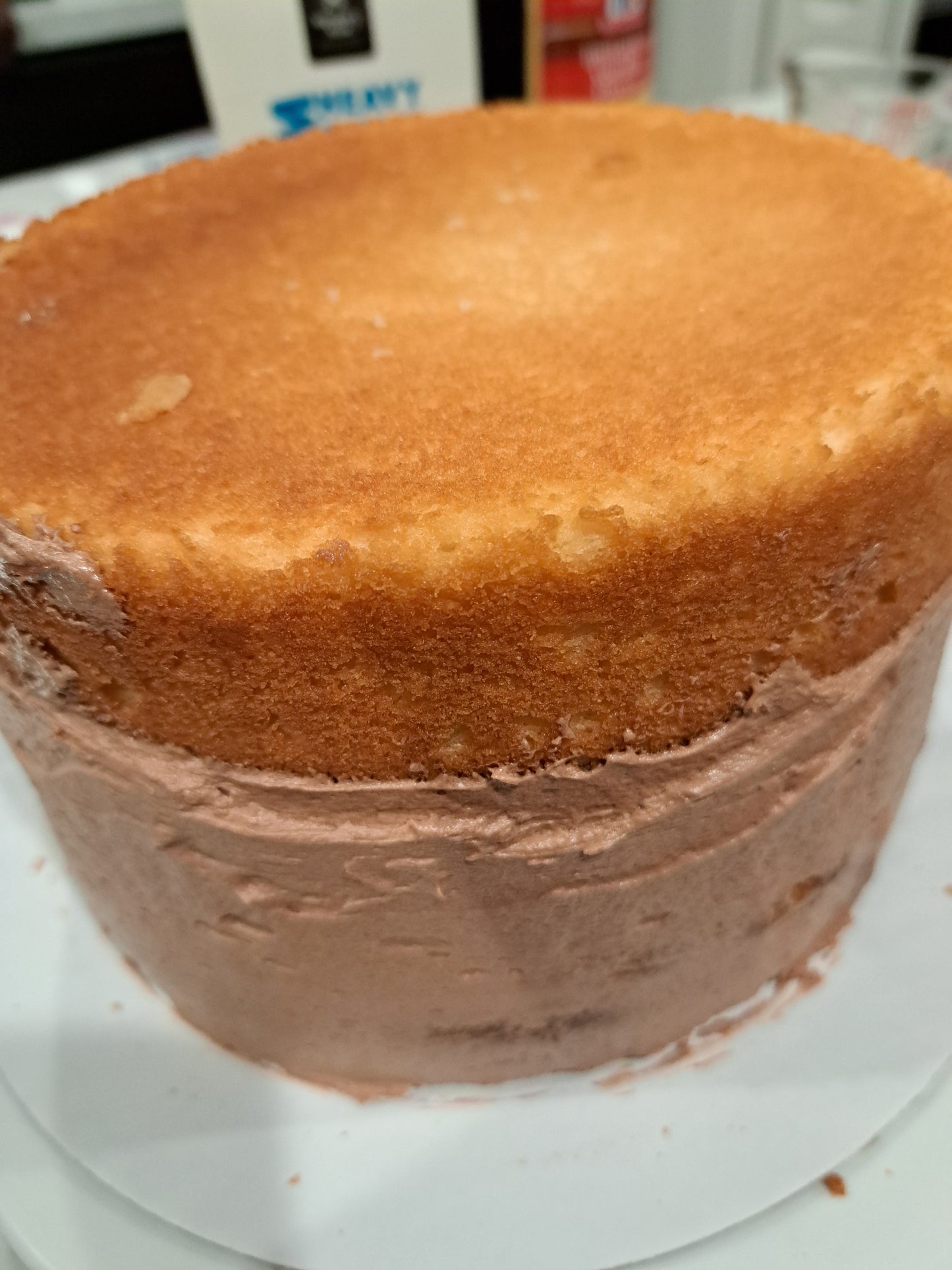 Yellow Cake with Chocolate Buttercream